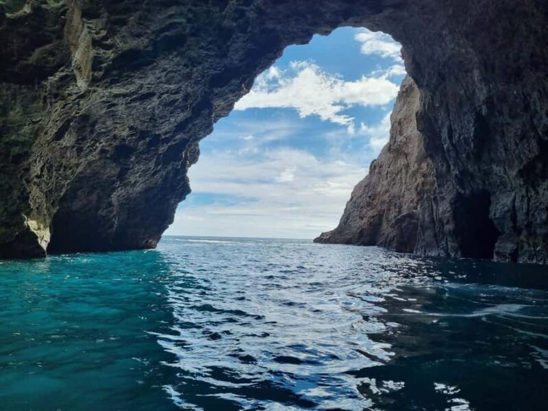 From Tairua: 2 Hour Cathedral Cove Tour with Local Guide - Who Will Love This Tour?