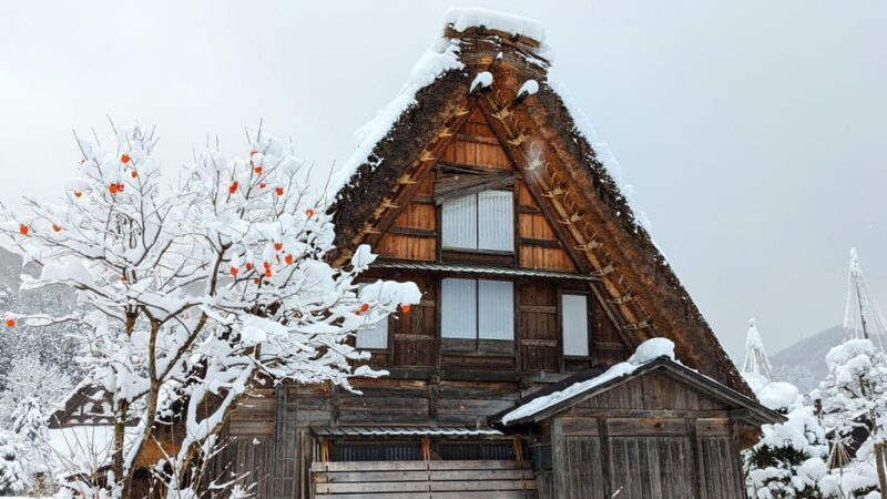 From Takayama: Guided Day Trip to Takayama and Shirakawa-go - An In-Depth Look at What the Tour Offers