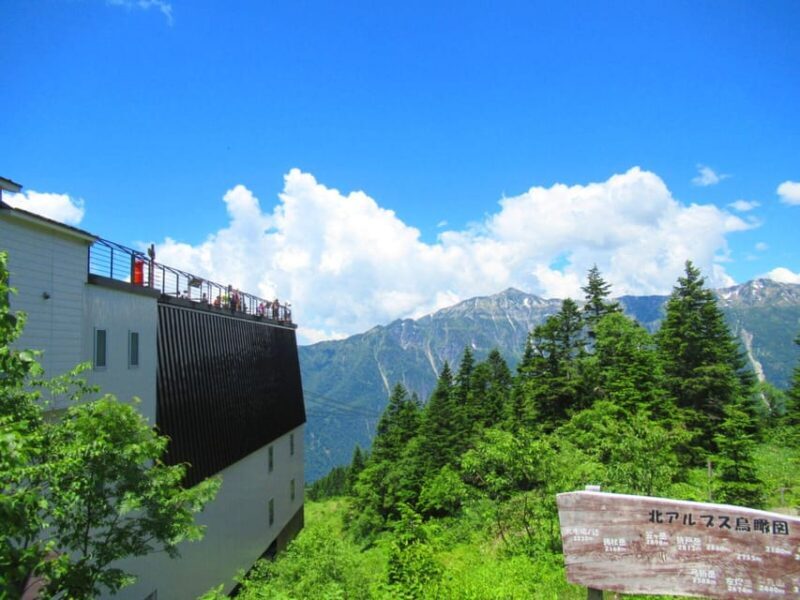 From Takayama: Shinhotaka Ropeway and Kamikochi tour - Who will love this tour?