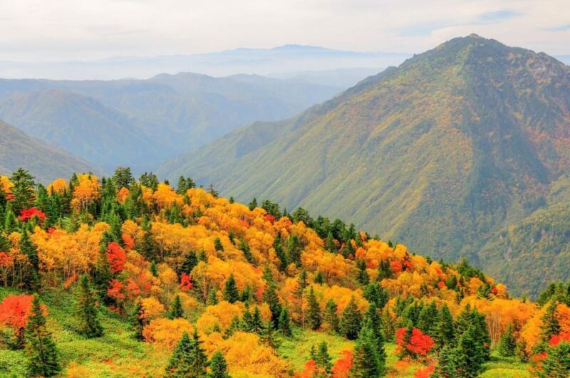 From Takayama: Shinhotaka Ropeway and Kamikochi tour - FAQ