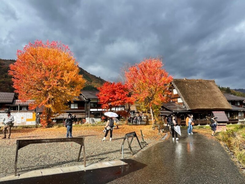 From Takayama: Shirakawago UNESCO World Heritage Site Tour - Why This Tour Stands Out
