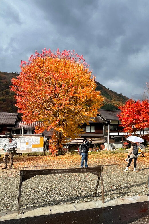 From Takayama: Shirakawago UNESCO World Heritage Site Tour - Frequently Asked Questions