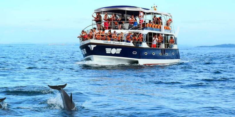 From Tangalle: Mirissa Whale Watching Tour with Breakfast - The Value and Cost: Is It Worth It?
