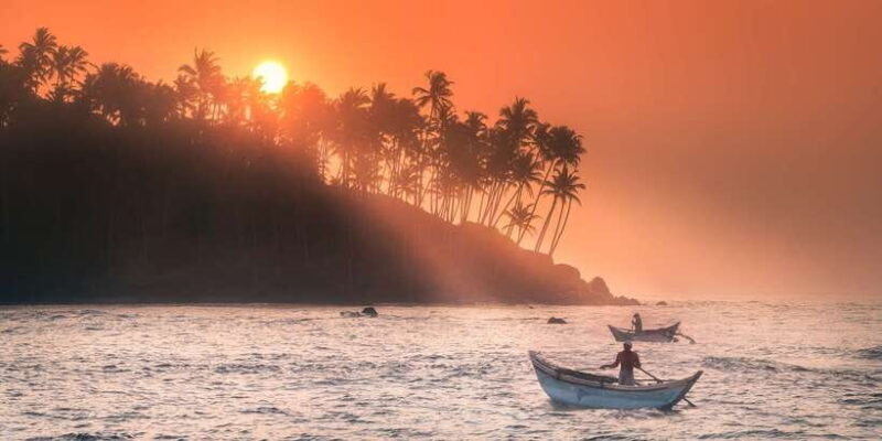 From Tangalle: Mirissa Whale Watching Tour with Breakfast - Who Should Consider This Tour?