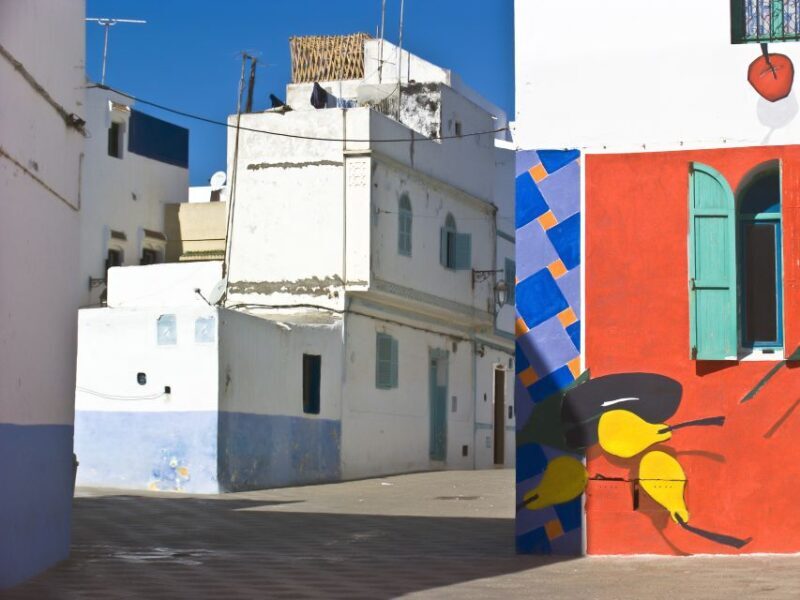 From Tangier: Asilah City Tour - Analyzing the Experience: The Good, the Less Good, and the Practical