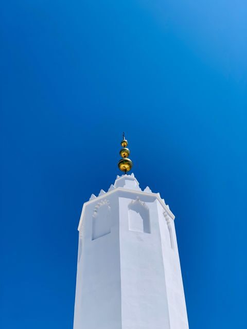 From Tangier: Asilah Tour with Tea Tasting & Camel Ride - A Detailed Look at the Tour Experience