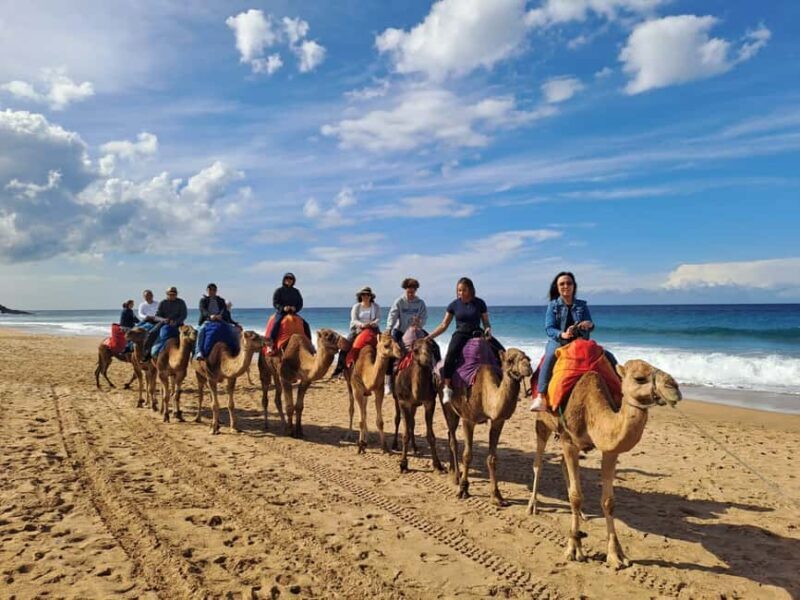 From Tangier: Cap Spartel and Hercules Cave with Camel Ride - A Detailed Look at the Tour Experience