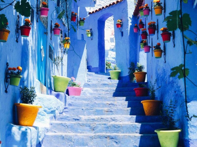 From Tangier: Chefchaouen Guided Full-Day Trip - Is It Worth the Price?