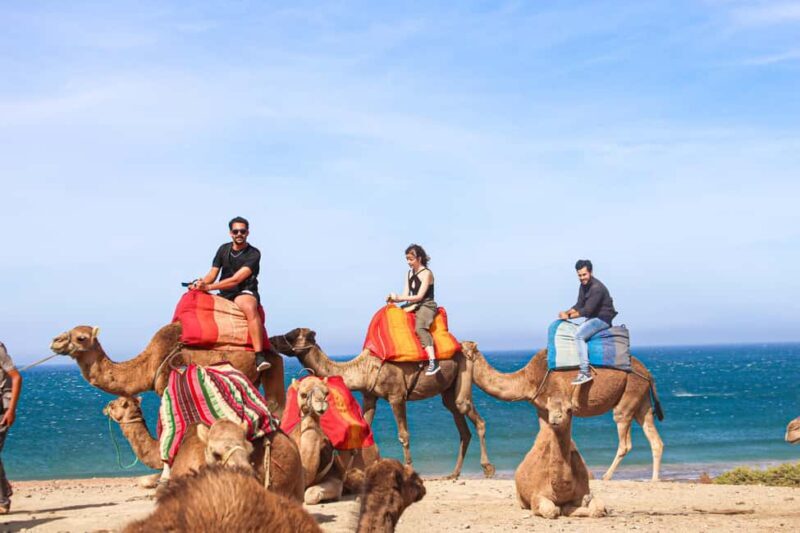 From Tangier: Full-Day Tangier, Asilah, & Cape Spartel Tour - A Complete Breakdown of the Tour