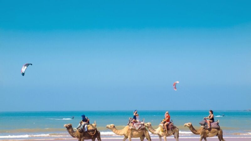 From Tangier: Full-Day Tangier, Asilah, & Cape Spartel Tour - Who Is This Tour Best For?