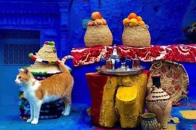 From Tangier: Special Day Trip to Chefchaouen and Tetouan - Return to Tangier