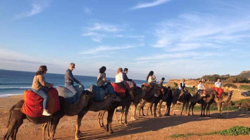 From Tarifa: Tangier full day Trip with guide - The Whole Day: What to Expect from This Tangier Experience