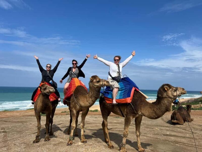 From Tarifa : Tangier tours with ticket and Moroccan food - FAQ