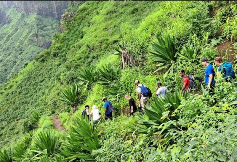 From Tarrafal: Verdant Valley Hike & Lunch With Locals - The Sum Up: Who Will Love This Tour?