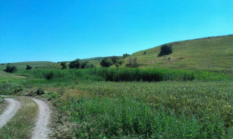 From Tashkent: Chimgan Valley Hiking Day Trip - Authentic Experiences and Guide-Driven Insights