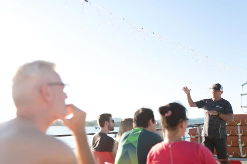 From Tauranga: Dolphin and Wildlife Cruise - The Sum Up: Who Is This Tour Best For?