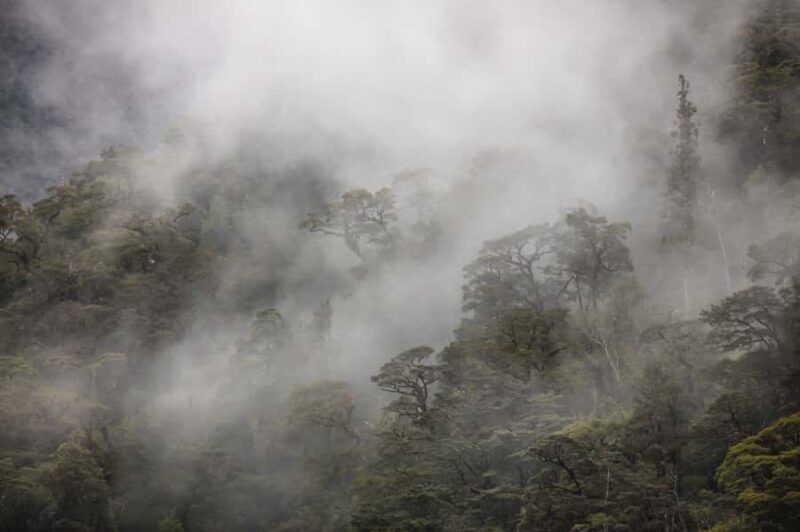 From Te Anau: Doubtful Sound Coach & Cruise - The Sum Up