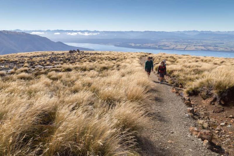 From Te Anau: Full Day Kepler Track Guided Heli-Hike - Overview and What to Expect