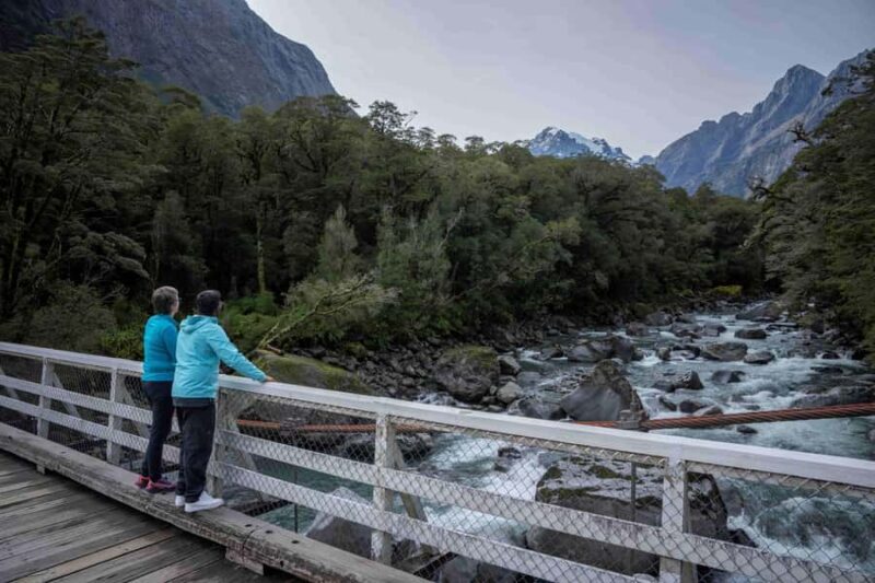 From Te Anau: Milford Sound Coach, Cruise, and Walks - Introduction: Why This Tour Stands Out