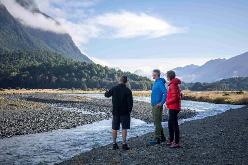 From Te Anau: Milford Sound Coach, Cruise, and Walks - Why Guides Make the Difference