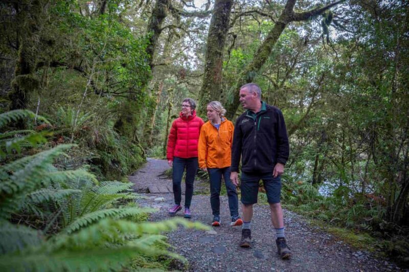 From Te Anau: Milford Sound Coach, Cruise, and Walks - Transportation and Logistics