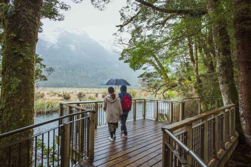 From Te Anau: Milford Sound Coach Tour and Cruise - Key Points