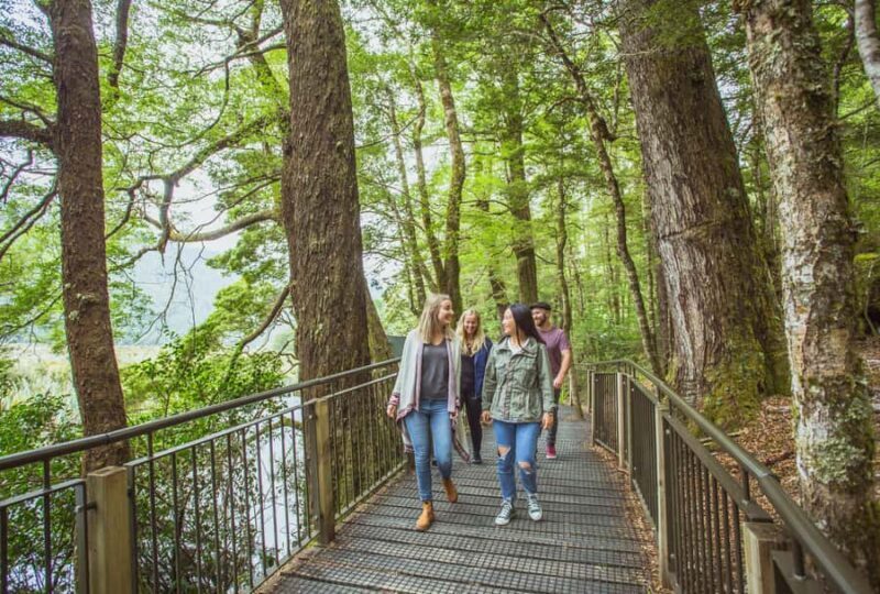 From Te Anau: Milford Sound Coach Tour and Cruise - Practical Tips for Travelers