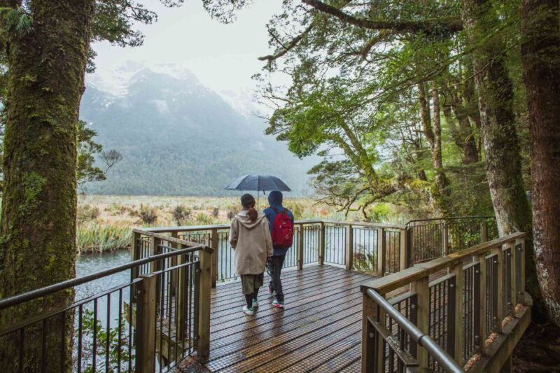 From Te Anau: Milford Sound Coach Tour and Cruise - FAQ