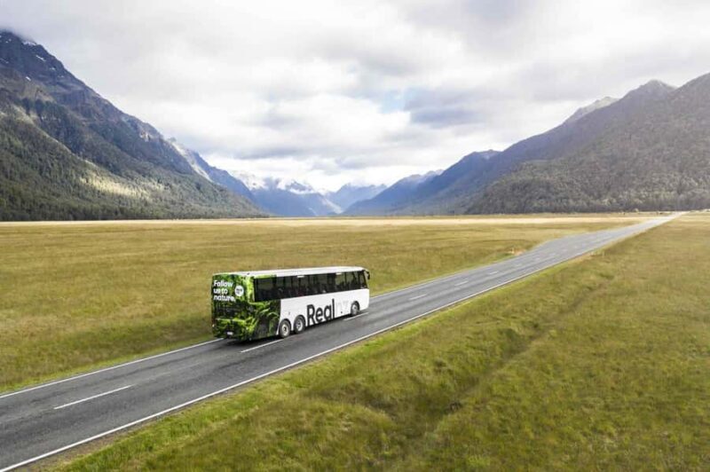 From Te Anau: Milford Sound Cruise and Coach Day Trip - Who Should Consider This Tour?