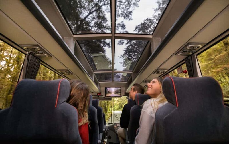 From Te Anau: Milford Sound Premium Bus Tour and Cruise - Key Points