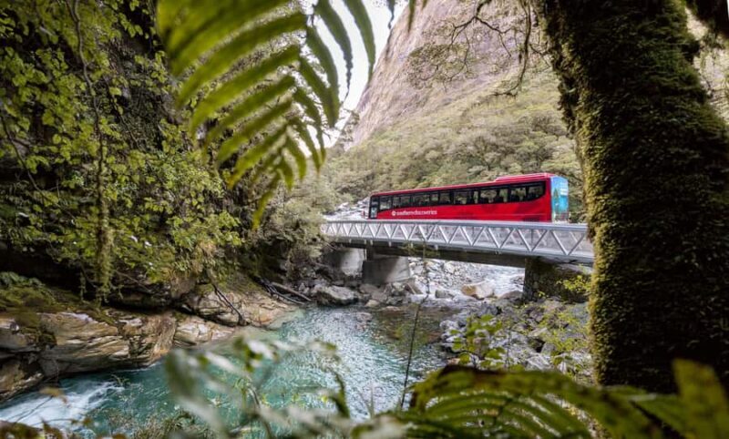 From Te Anau: Milford Sound Premium Bus Tour and Cruise - Final Thoughts