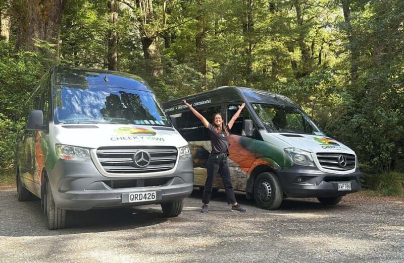 From Te Anau: Milford Sound Small-Group Tour Including Lunch - The Price and Value