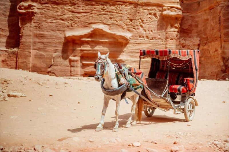 From Tel Aviv: Petra 1-Day Guided Tour with Transfers - Final Thoughts