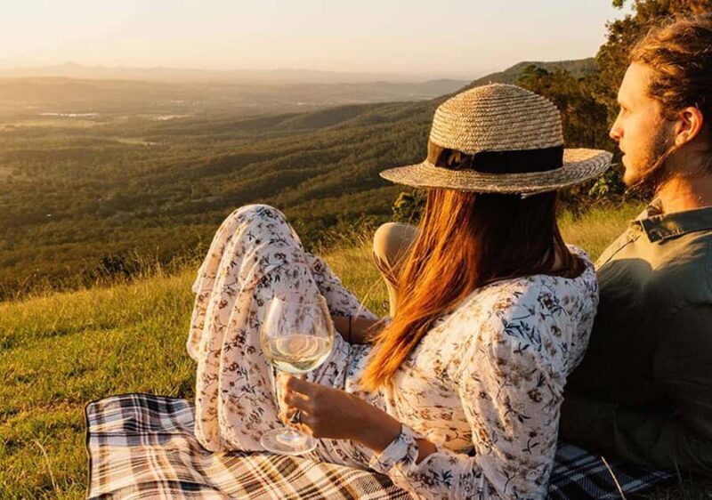 From the Gold Coast Hop on Hop off Bus to Tamborine Mountain - The Experiences Strengths and Considerations