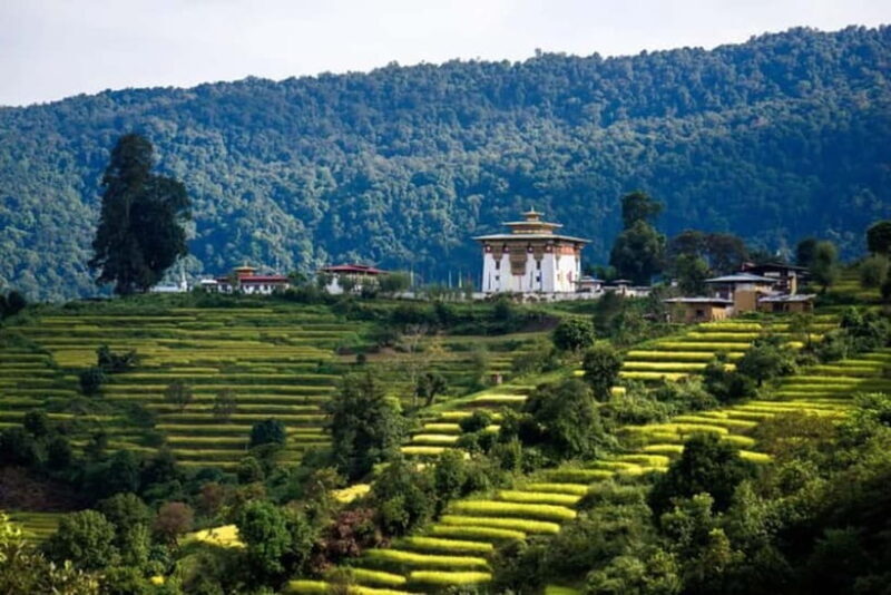 From Thimphu - Enchanting Bhutan tour with Guide 5 days Tour - Exploring Bhutan: A Journey Through Culture and Nature