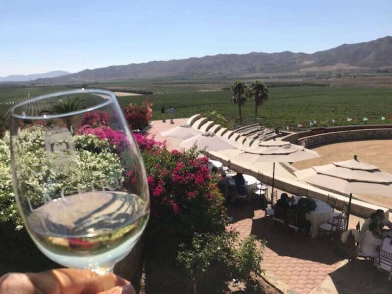 From Tijuana: Valle de Guadalupe Private Winery Tour - An In-Depth Look at the Tour Experience