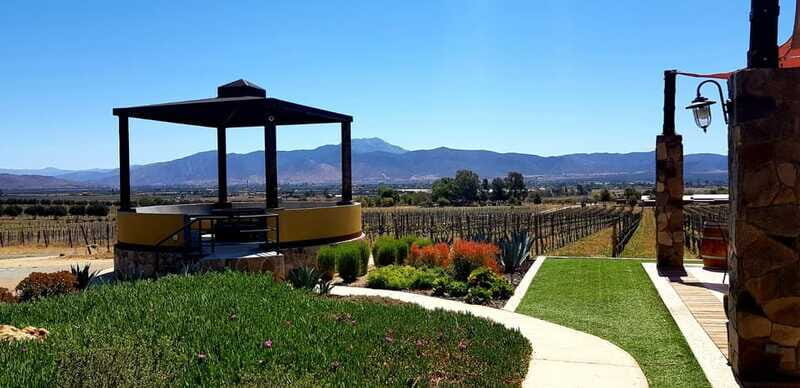 From Tijuana: Valle de Guadalupe Private Winery Tour - Who Should Consider This Tour?