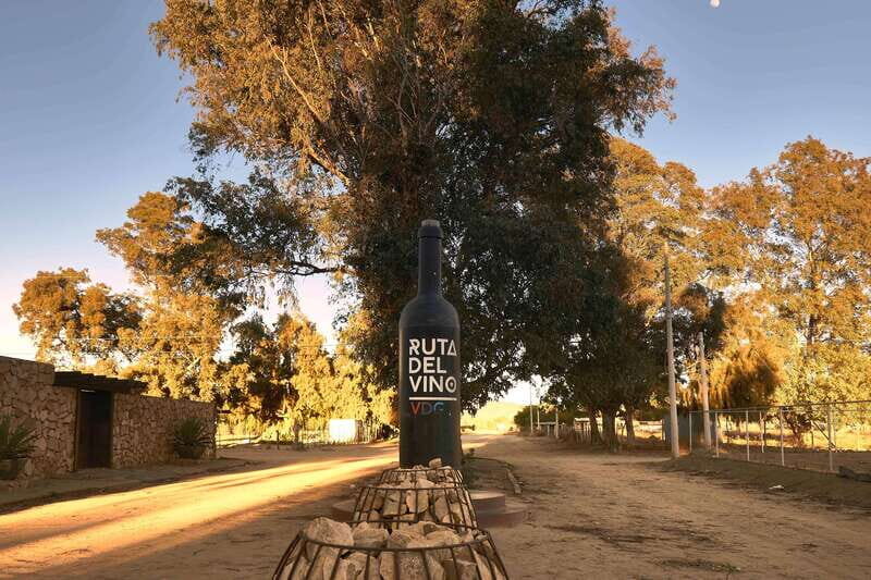 From Tijuana: Valle de Guadalupe Private Winery Tour - FAQ