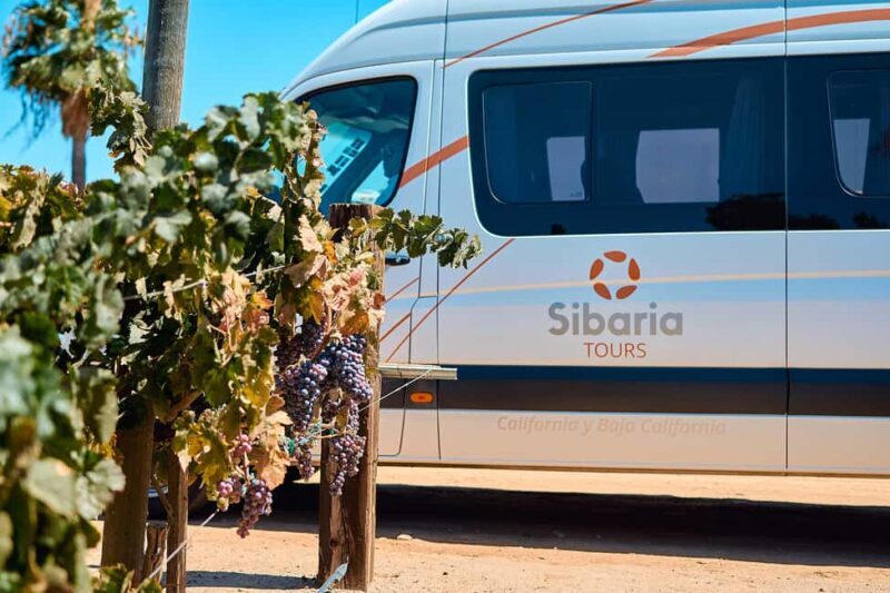 From Tijuana: Valle de Guadalupe Shared Winery Tour - Final Thoughts