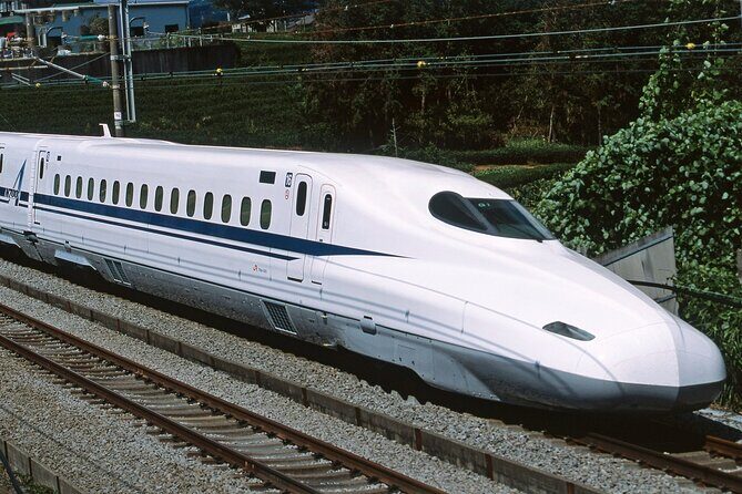 From Tokyo 1-Day Kyoto English-guided Tour by Bullet Train - FAQ