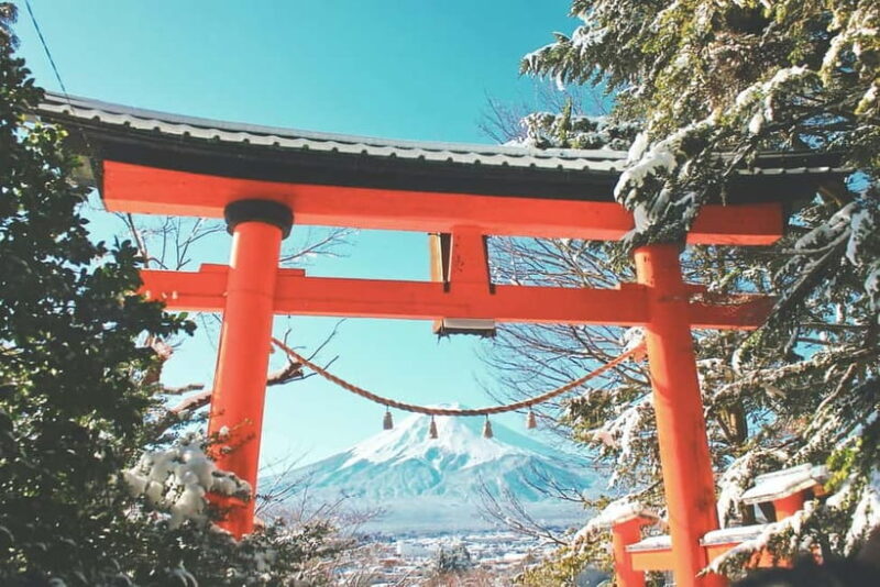 From Tokyo: 1 Full Day Mount fuji Sightseeing Trip - The Good, the Bad, and the Unexpected