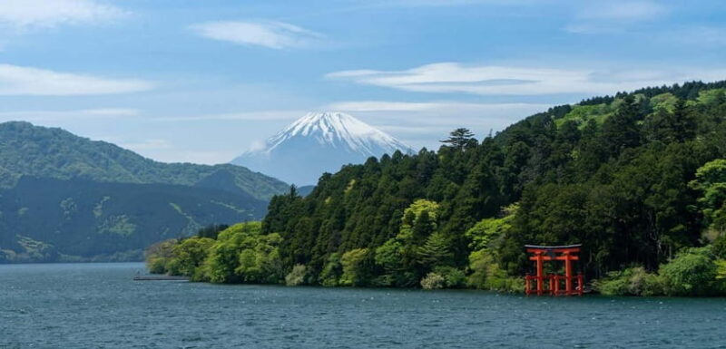 From Tokyo: 1 Full Day Mount fuji Sightseeing Trip - Practical Considerations