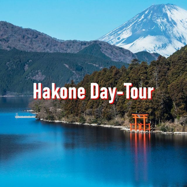 From Tokyo: 10-hour Hakone Private Custom Tour - The Value of a Private, Customizable Tour