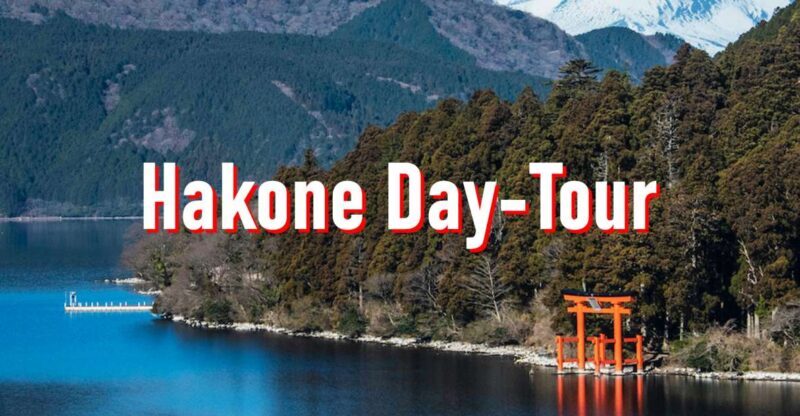 From Tokyo: 10-hour Hakone Private Custom Tour - Inside the Experience: What You Can Expect