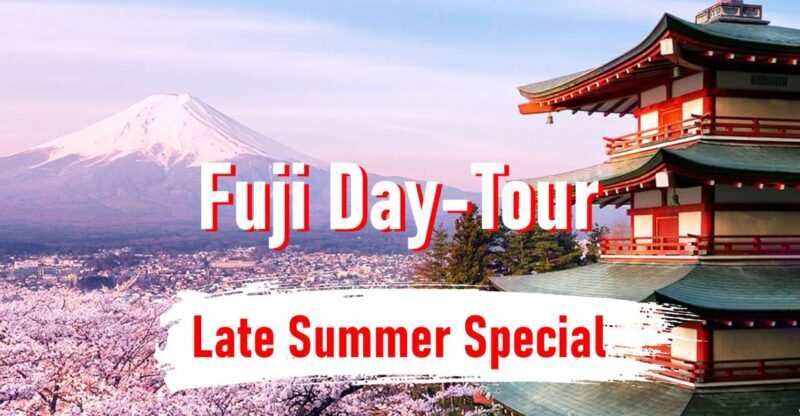 From Tokyo: 10-hour Mount Fuji Private Customizable Tour - Key Points