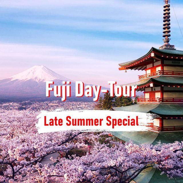 From Tokyo: 10-hour Mount Fuji Private Customizable Tour - The Practicalities