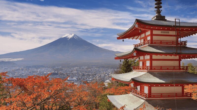 From Tokyo Custom Mt.Fuji tour with the Private van - An In-Depth Look at the Tour Experience