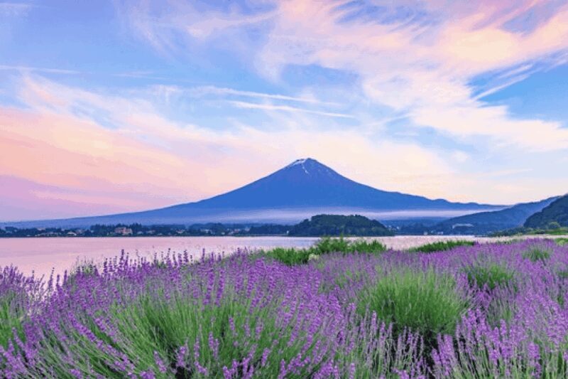 From Tokyo Custom Mt.Fuji tour with the Private van - Final Thoughts