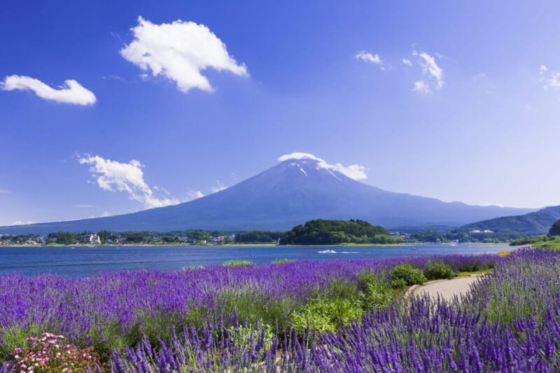 From Tokyo: Fuji Mountain Area - FujiQ - Lake Kawaguchiko - Chureito Pagoda - An In-Depth Look at the Tour Experience