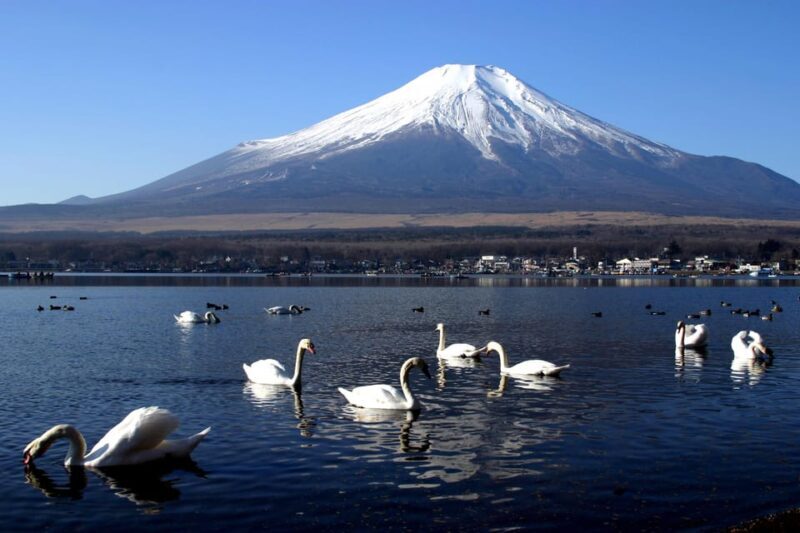 From Tokyo: Fuji Mountain Area - FujiQ - Lake Kawaguchiko - Chureito Pagoda - Who Should Consider This Tour?